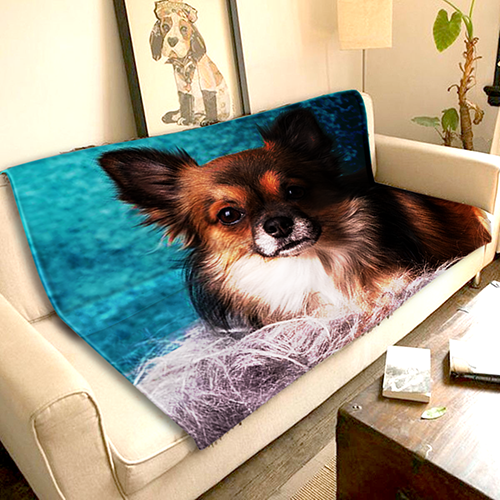 Dog discount print blanket