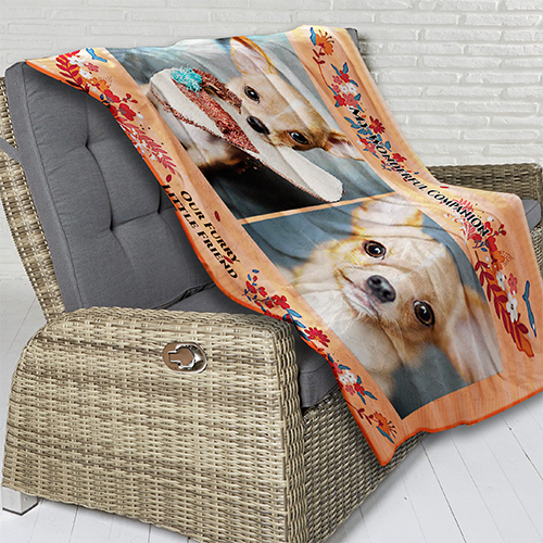 My Wonderful Companion Plush Fleece Blanket - 50 x 60